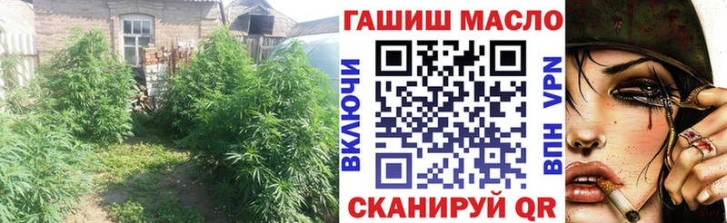 купить Мончегорск Дистиллят ТГК Wax