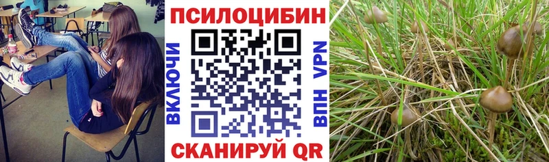 даркнет сайт  Мончегорск  Псилоцибиновые грибы Magic Shrooms 